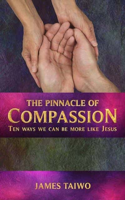 The-Pinnacle-of-Compassion